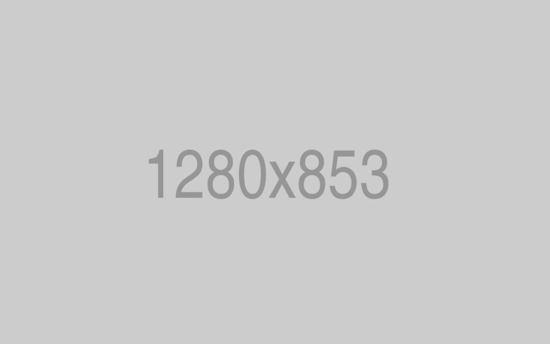 BMW Engine Repairing 7